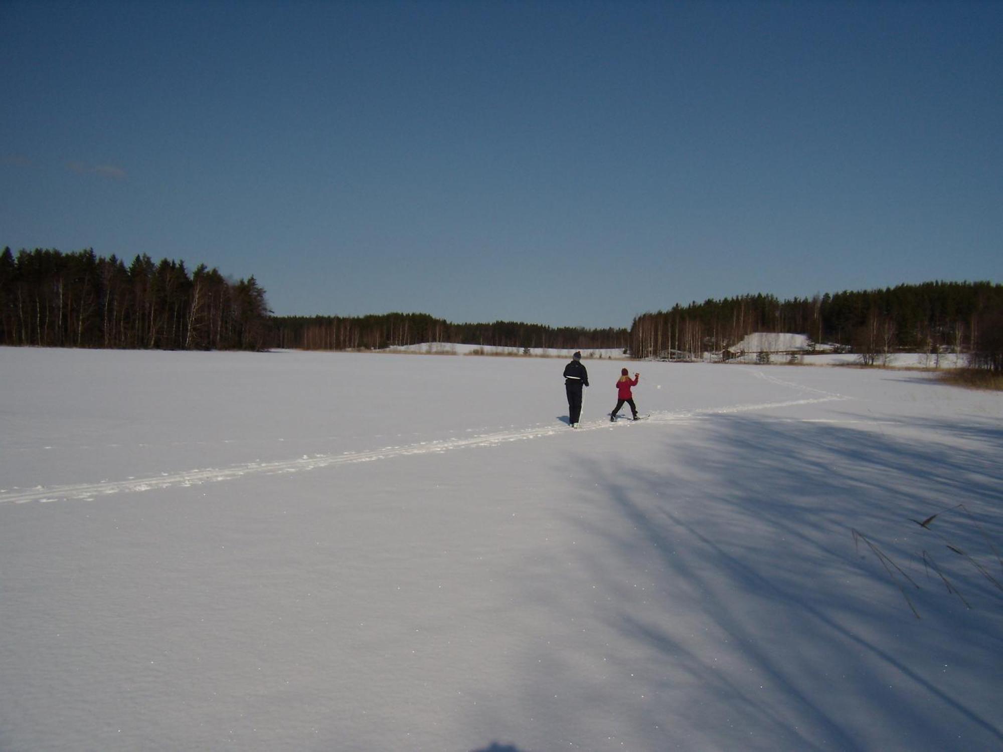 Tapion Huvilat Ylämaa 外观 照片